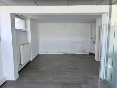 Gewerbeobjekt mieten in 4213 Radingdorf (Bild 5)