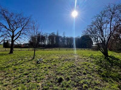 Grundstück kaufen in 5120 Sankt Pantaleon (Bild 4)