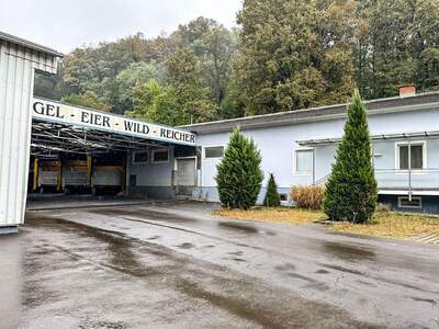 Gewerbeobjekt mieten in 8353 Kapfenstein (Bild 3)