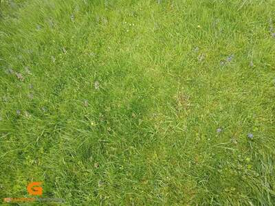 Grundstück kaufen in 5310 Tiefgraben