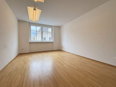 Gewerbeobjekt mieten in 4710 Grieskirchen (Bild 5)