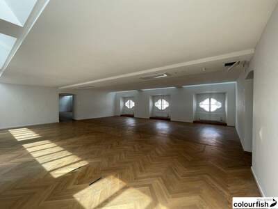 Gewerbeobjekt mieten in 1010 Wien (Bild 3)