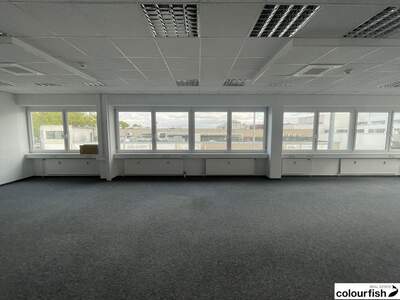 Gewerbeobjekt mieten in 1230 Wien (Bild 2)