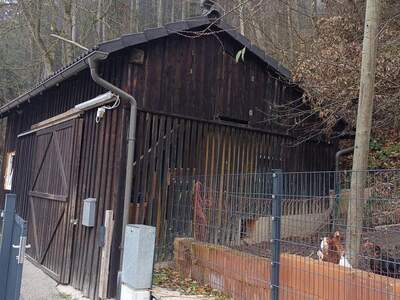 Mehrfamilienhaus provisionsfrei kaufen in 3691 Nöchling