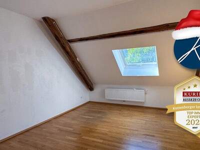 Terrassenwohnung mieten in 3150 Wilhelmsburg (Bild 4)