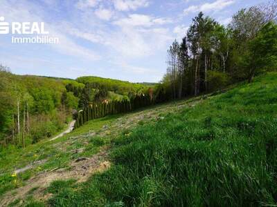 Grundstück kaufen in 3033 Altlengbach (Bild 4)