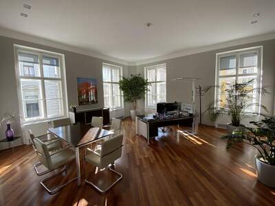 Gewerbeobjekt mieten in 1010 Wien (Bild 5)