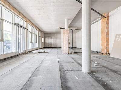 Gewerbeobjekt kaufen in 4490 St. Florian (Bild 5)