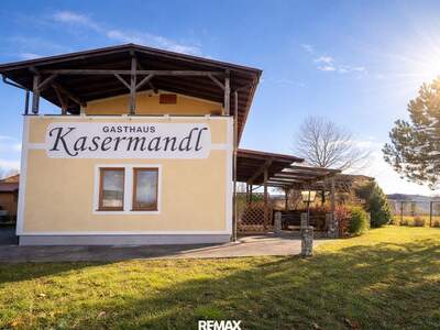 Office / Business kaufen in 8280 Steiermark