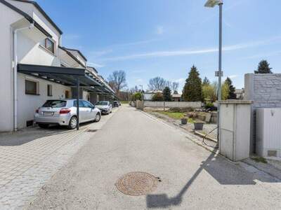 Grundstück kaufen in 2491 Neufeld (Bild 5)