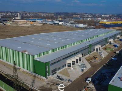 Gewerbeobjekt mieten in 4470 Enns (Bild 3)