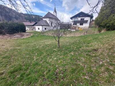 Grundstück provisionsfrei kaufen in 6020 Schönberg