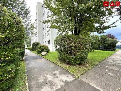 Wohnung mieten in 4020 Linz (Bild 1)