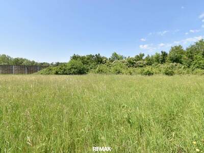 Grundstück kaufen in 4522 Sierning