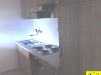 Terrassenwohnung mieten in 3100 St. Pölten (Bild 4)