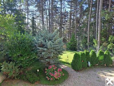 Haus kaufen in 2733 Oberhöflein (Bild 2)