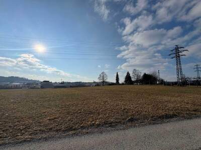 Gewerbeobjekt kaufen in 4150 Rohrbach (Bild 2)