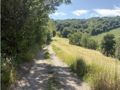 Grundstück kaufen in 3400 Klosterneuburg (Bild 2)