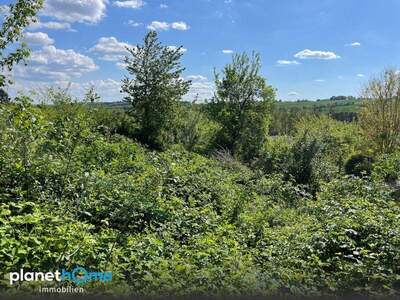 Grundstück kaufen in 7461 Altschlaining