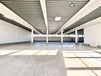 Gewerbeobjekt mieten in 2345 Brunn (Bild 4)