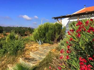 Haus kaufen (Bild 1)