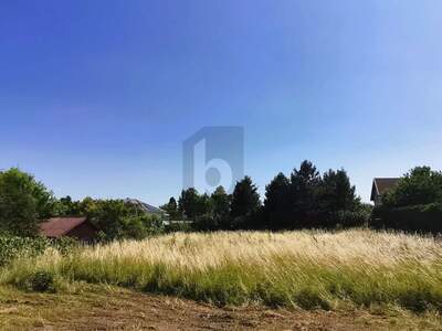 Grundstück kaufen in 7082 Donnerskirchen (Bild 4)