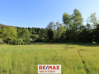 Grundstück kaufen in 9081 Reifnitz