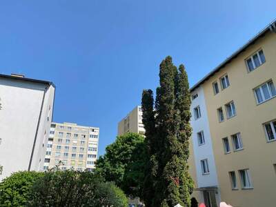 Wohnung mieten in 3500 Krems