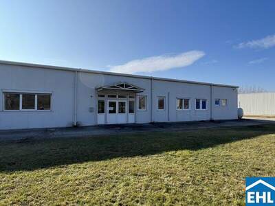 Lager kaufen in 2433 Margarethen (Bild 2)