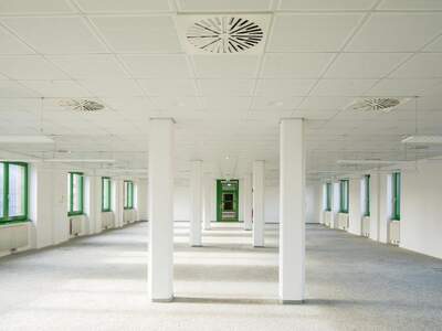 Gewerbeobjekt mieten in 1220 Wien (Bild 2)