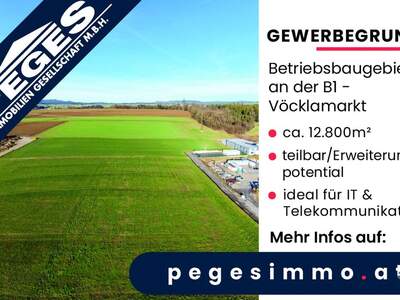 Gewerbeobjekt mieten in 4870 Vöcklamarkt (Bild 2)