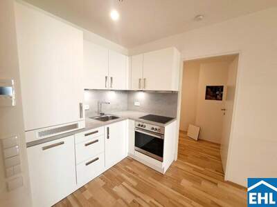 Terrassenwohnung mieten in 1150 Wien (Bild 3)