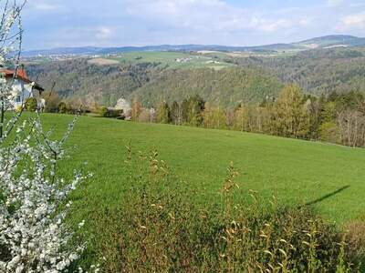 Grundstück kaufen in 4091 Vichtenstein