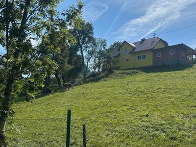 Haus mit Garten kaufen in 9112 Griffen (Bild 5)