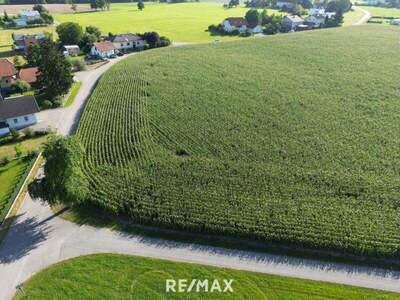 Grundstück kaufen in 4753 Taiskirchen