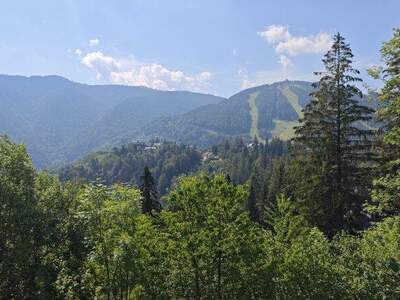 Wohnung mieten in 2680 Semmering (Bild 5)