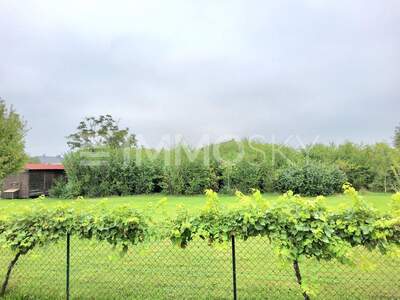 Grundstück kaufen in 4614 Marchtrenk (Bild 3)