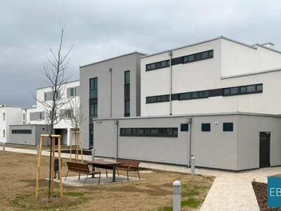 Wohnung mieten in 2620 Neunkirchen