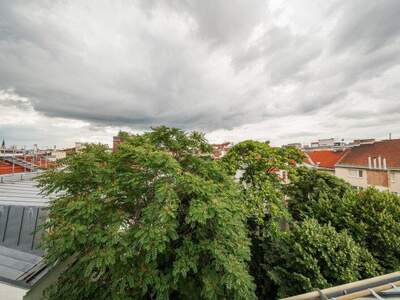 Terrassenwohnung kaufen in 1040 Wien (Bild 2)