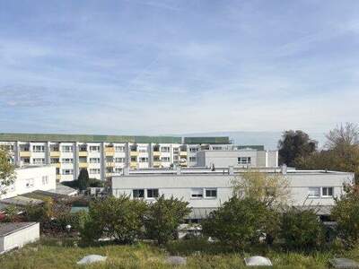 Wohnung mieten in 4600 Wels (Bild 2)