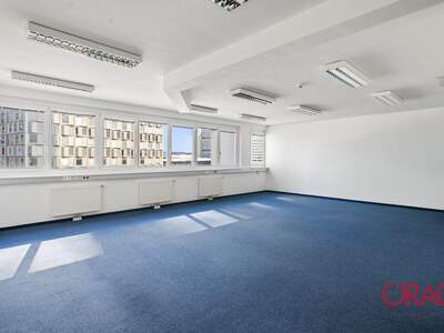 Gewerbeobjekt mieten in 1220 Wien (Bild 5)