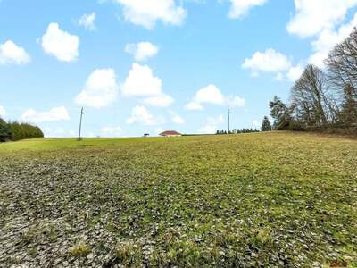 Grundstück kaufen in 7572 Deutsch Kaltenbrunn (Bild 4)