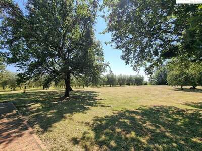 Haus kaufen in 52440 Porec (Bild 3)