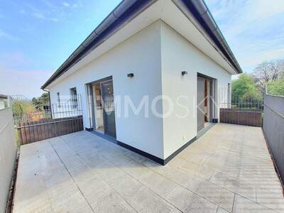 Terrassenwohnung kaufen in 4470 Enns (Bild 4)