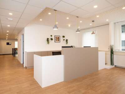 Gewerbeobjekt mieten in 1060 Wien (Bild 2)