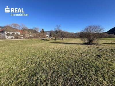 Grundstück kaufen in 9361 St. Salvator (Bild 1)