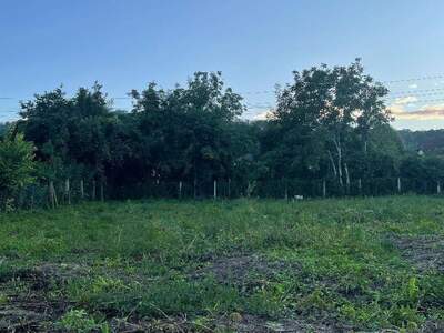 Anlageobjekt kaufen in 3701 Großweikersdorf