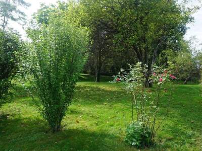 Anlageobjekt kaufen in 4971 Aurolzmünster (Bild 4)