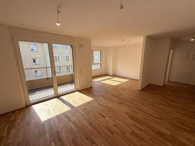 Anlageobjekt kaufen in 1100 Wien