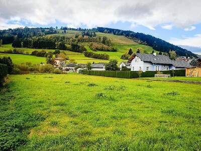 Grundstück kaufen in 9463 Reichenfels